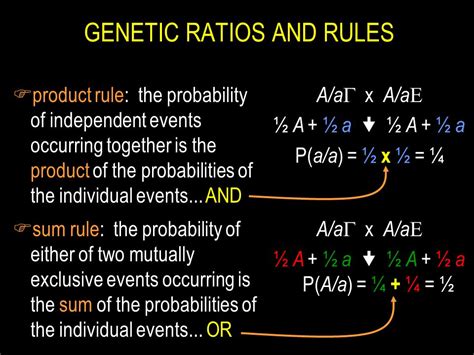 roulette probability formula|sum and product rule genetics.